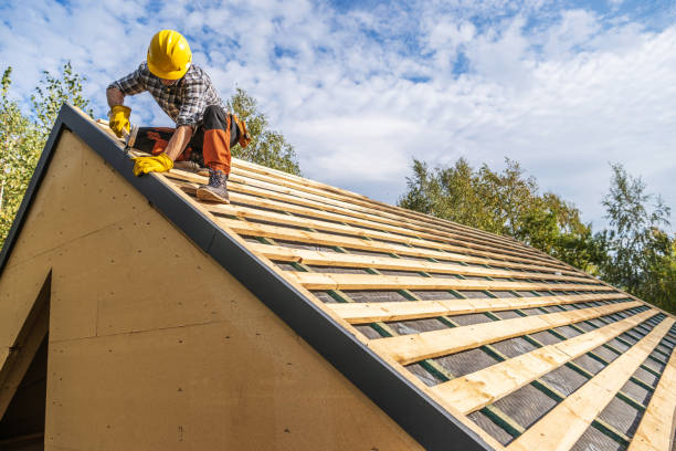 Best Roof Gutter Cleaning  in Safford, AZ